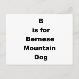b is for bernese mountain dog postcard