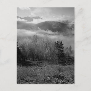 B&W Aspen 3 Postcard