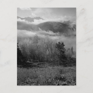 B&W Aspen 3 Postcard