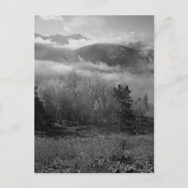 B&W Aspen 3 Postcard (Front)