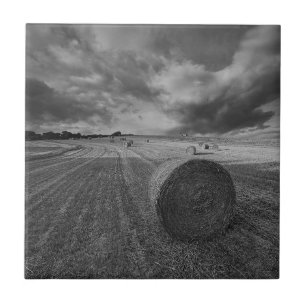 B&W Barley Field Tile