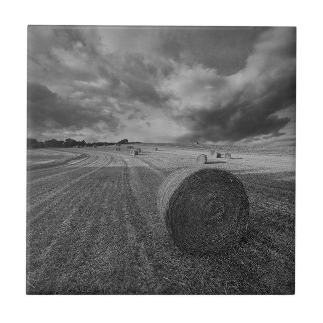 B&W Barley Field Tile (Front)