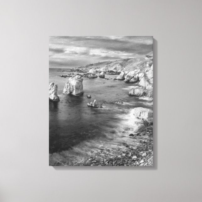 B&W beach coastline, California Canvas Print (Front)