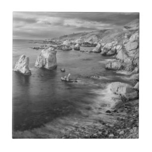 B&W beach coastline, California Tile