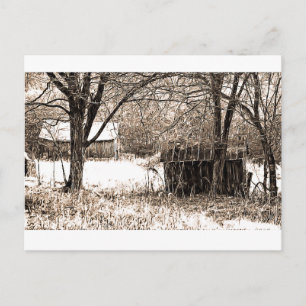 B&W Buildings Postcard