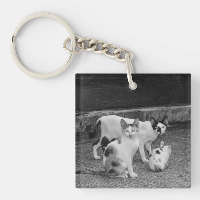 B&W -  Cats Key Ring (Front)