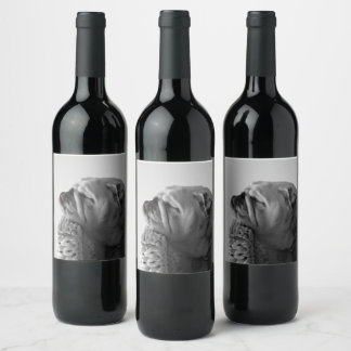 B&W Colourized Bulldog Resting Head Wine Label