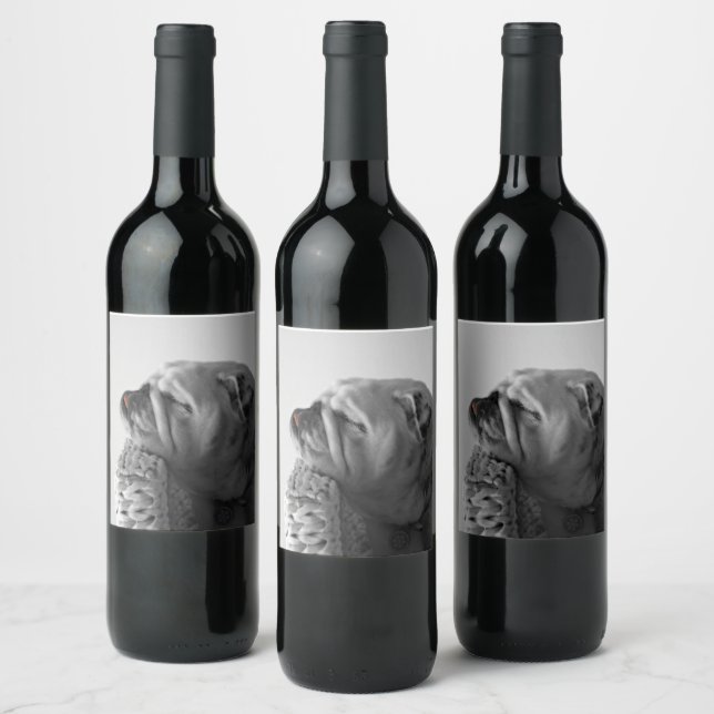 B&W Colourized Bulldog Resting Head Wine Label (Bottles)
