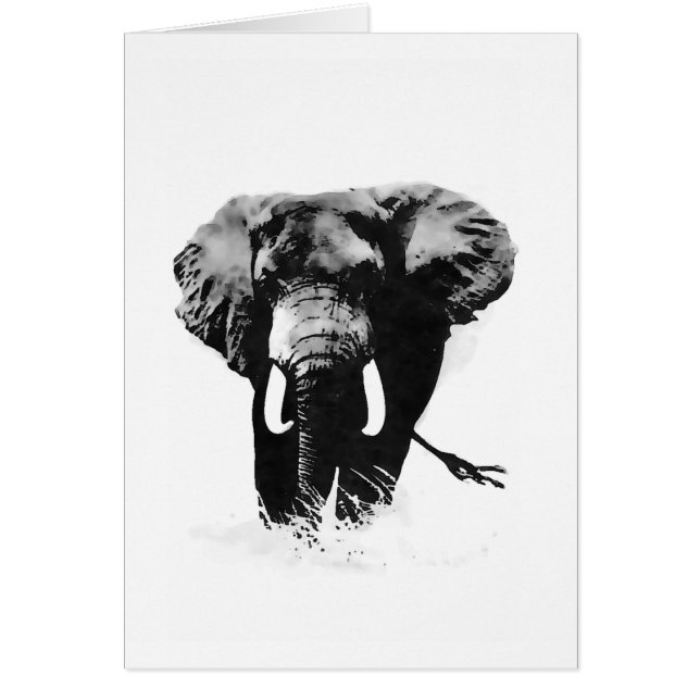 B&W Elephant (Front)