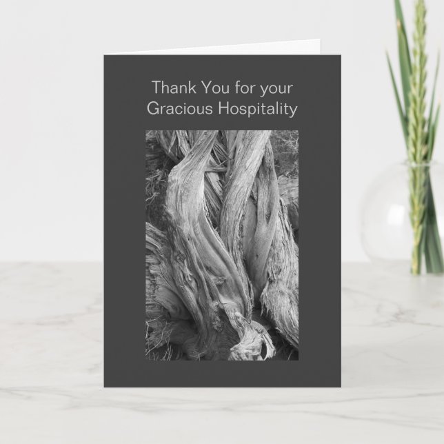 B&W Fine Art Juniper Trunk Photo Template (Front)