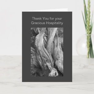B&W Fine Art Juniper Trunk Photo Template