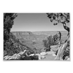 B&W Grand Canyon National Park 3 Photo Print