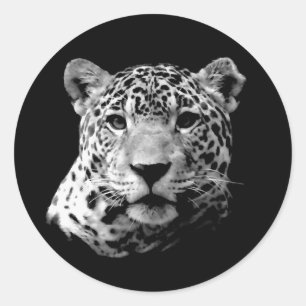 B&W Jaguar Classic Round Sticker