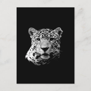 B&W Jaguar Postcard