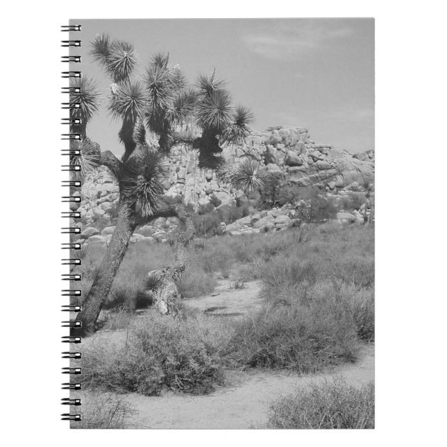 B&W Joshua Tree National Park 3 Notebook (Front)