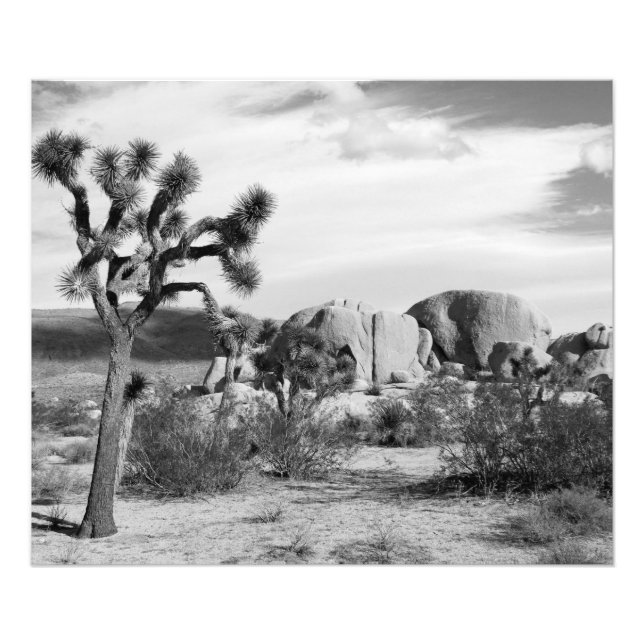 B&W Joshua Tree National Park Photo Print (Front)