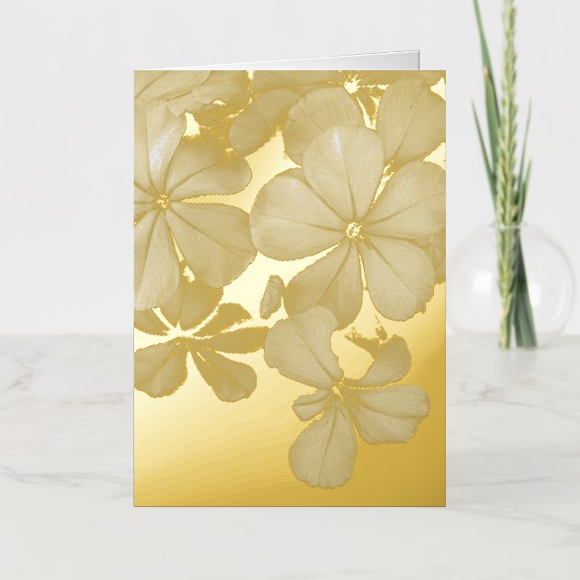 b&w postcard (Front)