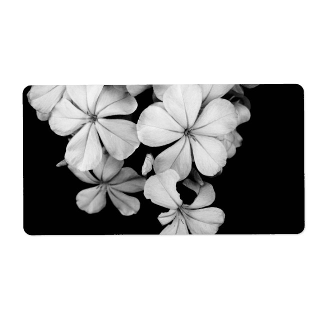 b&w postcard (Front)