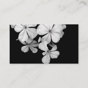 b&w postcard