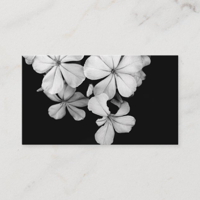 b&w postcard (Front)