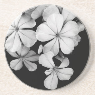 b&w postcard coaster