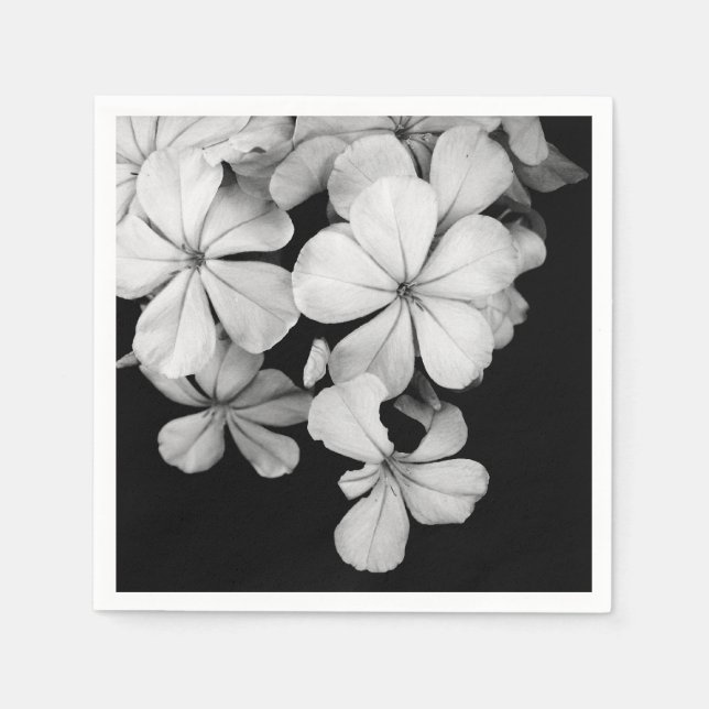 b&w postcard napkin (Front)