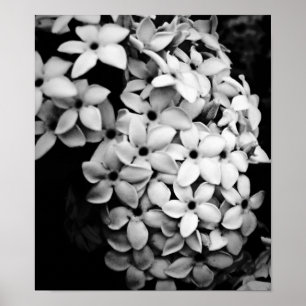 B&W POSTER