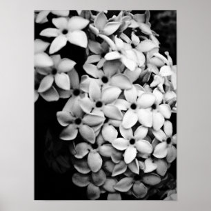 B&W POSTER