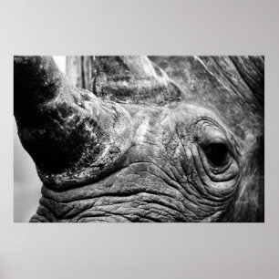 B&W Rhino Poster