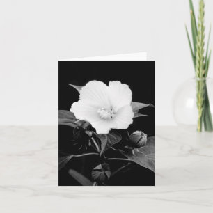 B&W Rose Mallow Blank Note Card