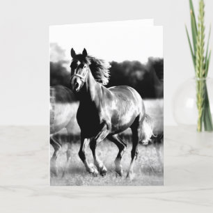 B&W Running Horse Card