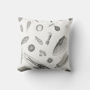 B&W Science Microbiology Magnification Microscopic Cushion