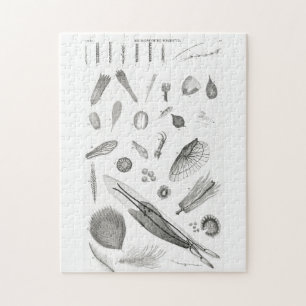 B&W Science Microbiology Magnification Microscopic Jigsaw Puzzle