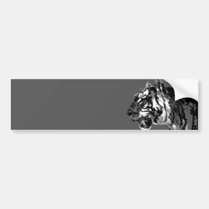 B&W Siberian Tiger Bumper Sticker
