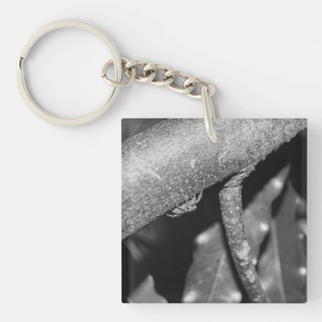 B&W - Spider 02 Key Ring (Front)