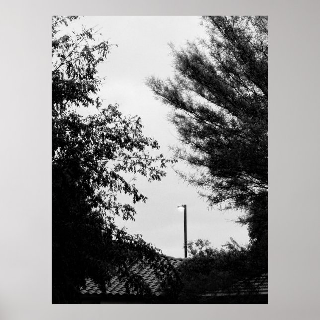 B&W Suburbs Poster (Front)
