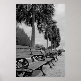 B/W Waterfront Benches Poster