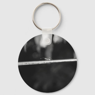 B&W - Weaver Ant Key Ring