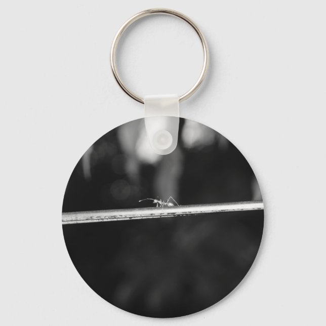 B&W - Weaver Ant Key Ring (Front)