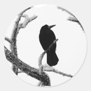 B&W Winter Raven Edgar Allan Poe Classic Round Sticker