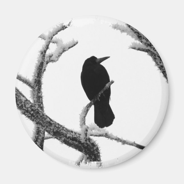 B&W Winter Raven Edgar Allan Poe Magnet (Front)