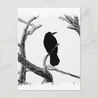 B&W Winter Raven Edgar Allan Poe Postcard