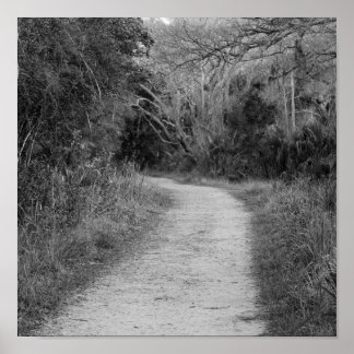 B&W Wooded Path Poster