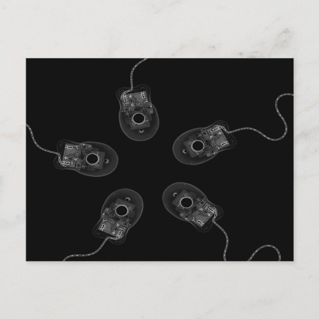 B&W X-Ray Computer Mice Postcard (Front)