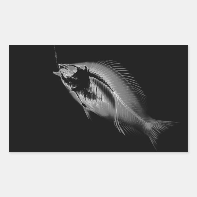 B&W X-Ray Fish Bones Rectangular Sticker (Front)