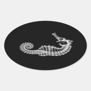 B&W X-Ray Vision Seahorse Skeleton Oval Sticker
