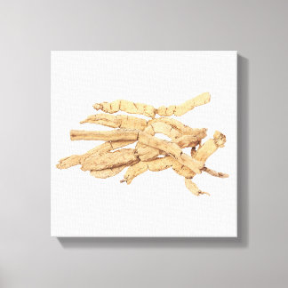 Ba Ji Tian Canvas Print