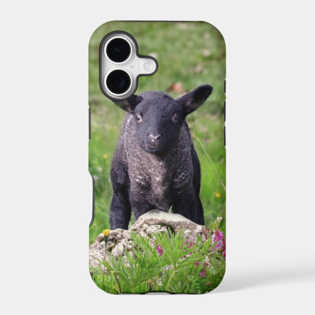 Baa Baa Black Sheep iPhone 5 Case-Mate Case (Back)