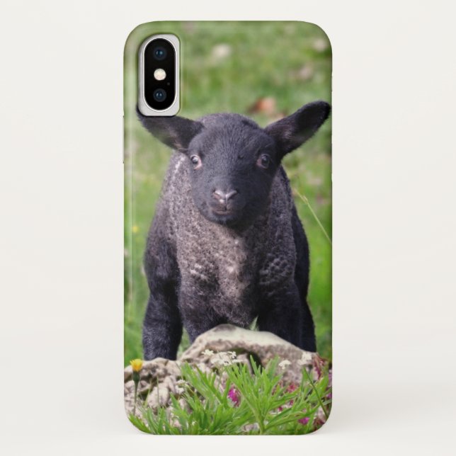 Baa Baa Black Sheep iPhone X Case (Back)