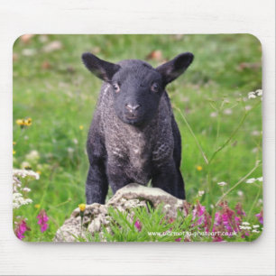Baa-Baa Black Sheep Mousemat